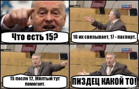 Что есть 15? 16 их связывает, 17 - паспорт. 15 после 12, Жёлтый тут помогает. ПИЗДЕЦ КАКОЙ ТО!