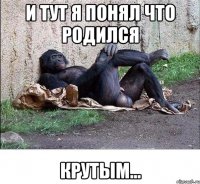 и тут я понял что родился крутым...