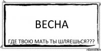 ВЕСНА ГДЕ ТВОЮ МАТЬ ТЫ ШЛЯЕШЬСЯ???