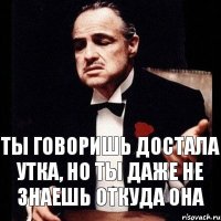 ты говоришь достала утка, но ты даже не знаешь откуда она