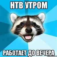 нтв утром работает до вечера