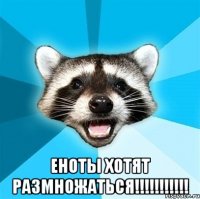  еноты хотят размножаться!!!