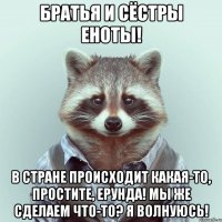 братья и сёстры еноты! в стране происходит какая-то, простите, ерунда! мы же сделаем что-то? я волнуюсь!