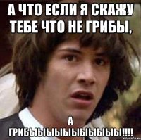 а что если я скажу тебе что не грибы, а грибыыыыыыыыыыы!!!