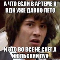 а что если в артеме и вдк уже давно лето и это во все не снег,а июльский пух