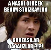 a nashi olacek benim strizkaylan goreasilar gagauzlar ?!?!