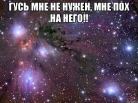 гусь мне не нужен, мне пох на него!! 