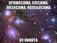 хромосома, хуесома, лизосома, полебосома ну никита