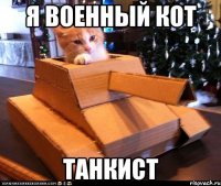 я военный кот танкист