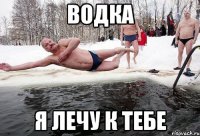 водка я лечу к тебе