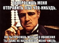 ты просишь меня отправить тебе что-нибудь, но ты просишь меня без уважения ты даже не называешь меня чмель