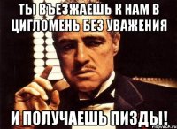 ты въезжаешь к нам в цигломень без уважения и получаешь пизды!