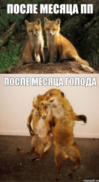 после месяца пп после месяца голода