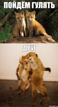 пойдём гулять друг