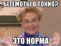 бегемоты в токио? это норма