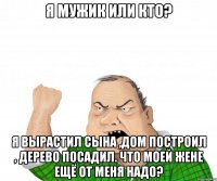 я мужик или кто? я вырастил сына ,дом построил , дерево посадил. что моей жене ещё от меня надо?