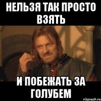 нельзя так просто взять и побежать за голубем