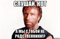 слушай, кот а мы с тобой не родственники!?