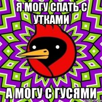 я могу спать с утками а могу с гусями