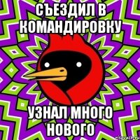 съездил в командировку узнал много нового