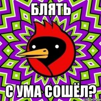 блять с ума сошёл?