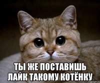  ты же поставишь лайк такому котёнку