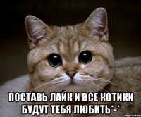  поставь лайк и все котики будут тебя любить*-*