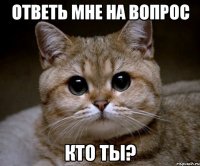 ответь мне на вопрос кто ты?