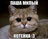 паша милый котейка :3