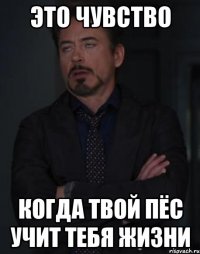 это чувство когда твой пёс учит тебя жизни