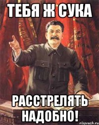 тебя ж сука расстрелять надобно!