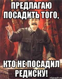 предлагаю посадить того, кто не посадил редиску!