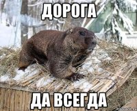 дорога да всегда