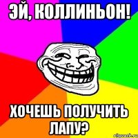 эй, коллиньон! хочешь получить лапу?