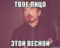 твое лицо этой весной