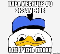 пара месяцев до экзаменов все очень плохо