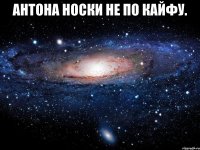 антона носки не по кайфу. 