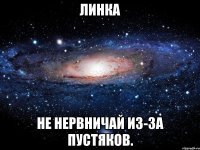 линка не нервничай из-за пустяков.