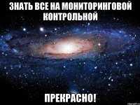 знать все на мониторинговой контрольной прекрасно!