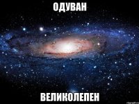 одуван великолепен