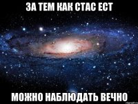 за тем как стас ест можно наблюдать вечно