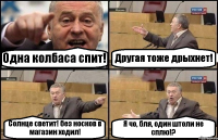 Одна колбаса спит! Другая тоже дрыхнет! Солнце светит! без носков в магазин ходил! Я чо, бля, один штоли не сплю!?