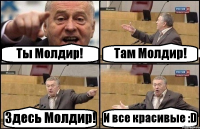 Ты Молдир! Там Молдир! Здесь Молдир! И все красивые :D