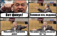 Вот фикус! Поливал его, подонка Опрыскивал, подкормку давал Все равно лимоны не растут бл***ть!