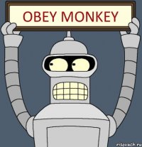 OBEY MONKEY