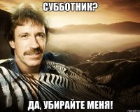 субботник? да, убирайте меня!