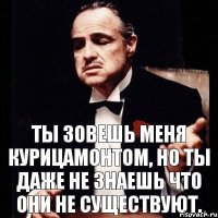 Ты зовешь меня курицамонтом, но ты даже не знаешь что они не существуют.