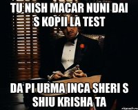 tu nish macar nuni dai s kopii la test da pi urma inca sheri s shiu krisha ta