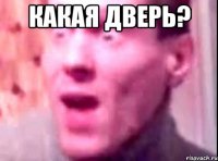 какая дверь? 