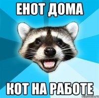 енот дома кот на работе